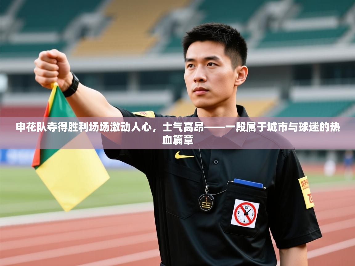 申花队夺得胜利场场激动人心，士气高昂——一段属于城市与球迷的热血篇章  第2张